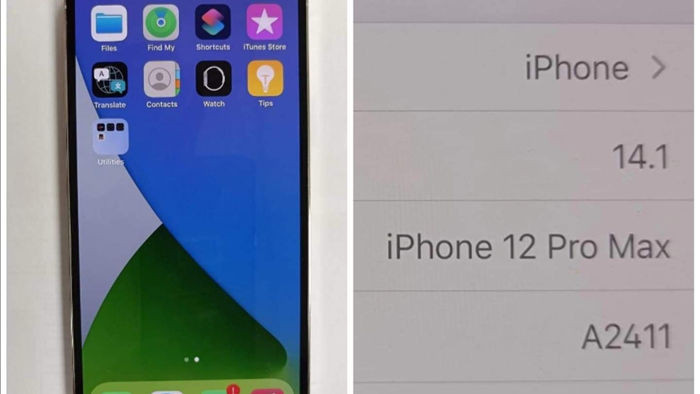 iPhone 12 Pro Max bất ngờ xuất hiện ở Việt Nam trước ngày mở bán - 1