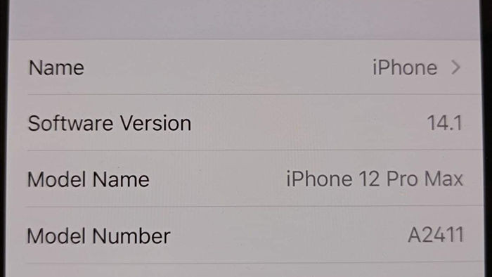 iPhone 12 Pro Max bất ngờ xuất hiện ở Việt Nam trước ngày mở bán - 3