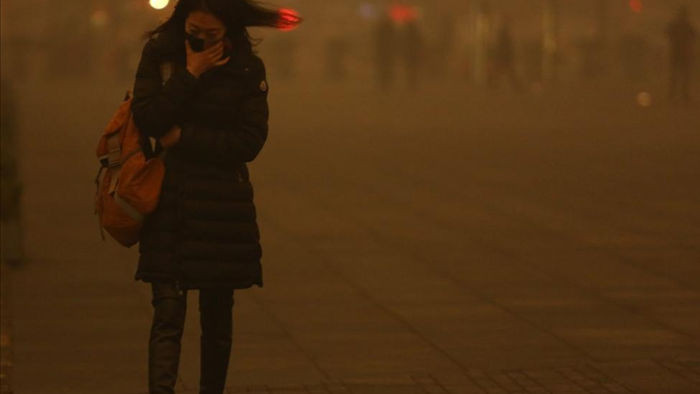 Ô nhiễm không khí khiến 500.000 trẻ sơ sinh tử vong - 1
