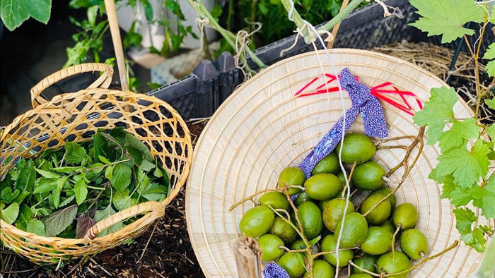 Khu vườn 20m2 rau trái tươi tốt trên sân thượng của vợ chồng trẻ ở Sài Gòn - 12