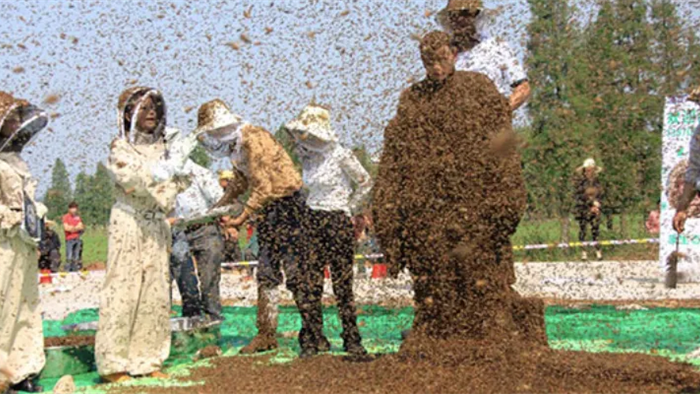 Cho gần 64 kg ong phủ quanh thân, người đàn ông lập kỷ lục thế giới mới - 1