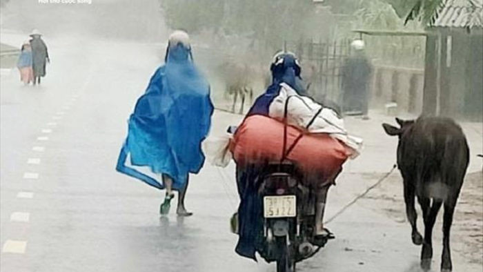 Lũ quét ào ạt đổ về sau mưa lớn, Hà Tĩnh khẩn cấp di dời dân - 1