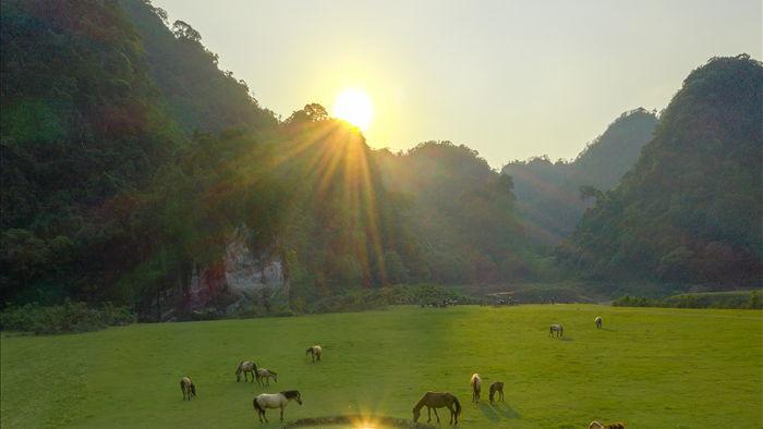 Miền thảo nguyên xanh đẹp tựa “tiên cảnh” cách Hà Nội chỉ hơn 100km - 5