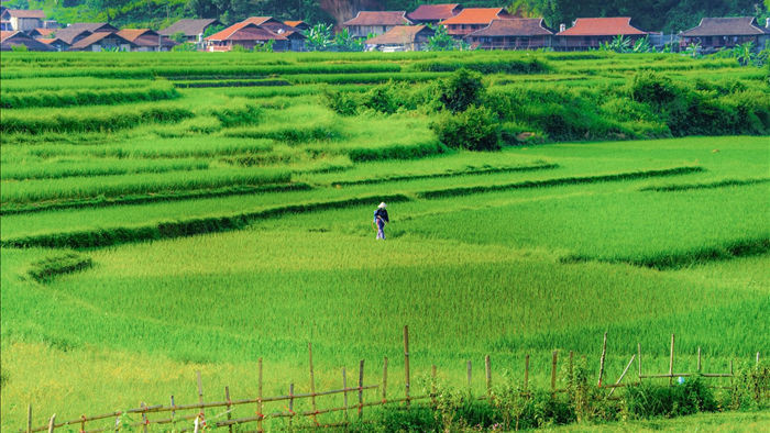 Miền thảo nguyên xanh đẹp tựa “tiên cảnh” cách Hà Nội chỉ hơn 100km - 14