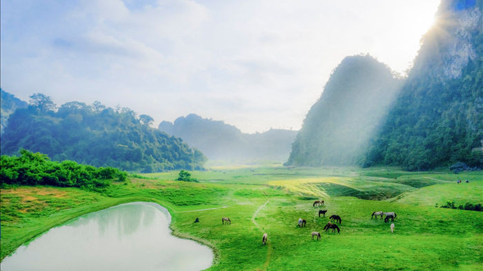 Miền thảo nguyên xanh đẹp tựa “tiên cảnh” cách Hà Nội chỉ hơn 100km - 3