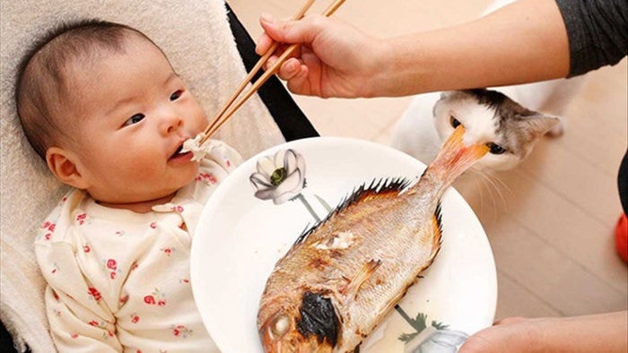 4 loại cá trẻ càng ăn càng tăng IQ, 5 loại ăn vào dễ hỏng não lại độc chết người - 1