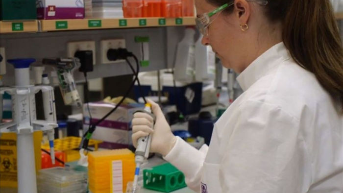 Các nhà nghiên cứu của trường Đại học Queensland bắt đầu phát triển vaccine ngừa Covid-19 từ tháng 3/2020.
