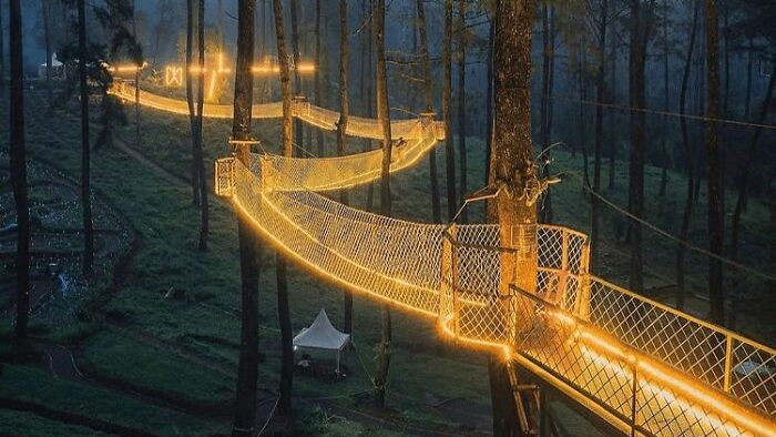 Cây cầu phát ánh sáng kỳ diệu trong khu rừng Indonesia - Ảnh 1.