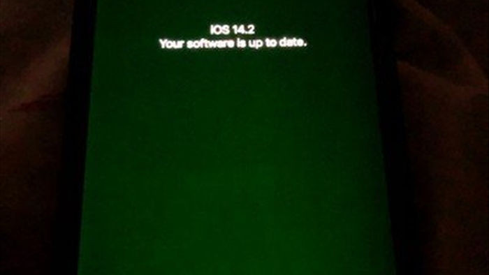 Apple thừa nhận iPhone 12 gặp sự cố màn hình xanh và đang tiến hành điều tra - Ảnh 1.