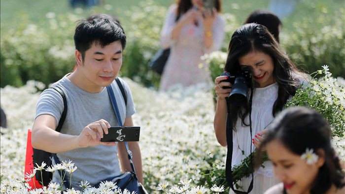 Nhiếp ảnh gia bó tay trước cảnh chen chân trong vườn cúc hoạ mi ở Hà Nội - 2