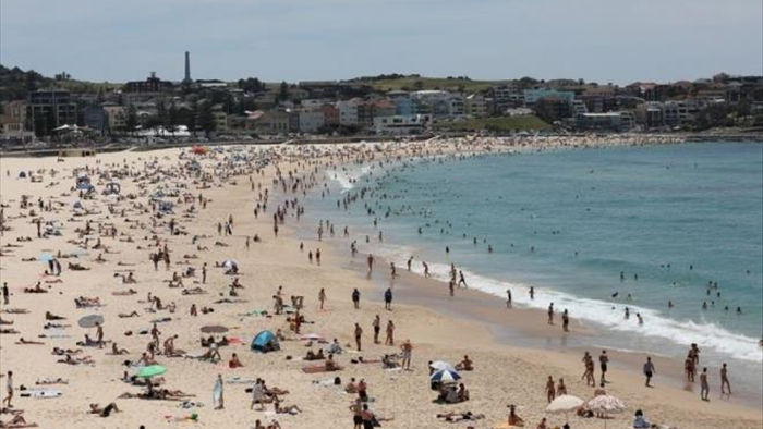 Thành phố Sydney trải qua những ngày nóng nhất trong 80 năm - 1