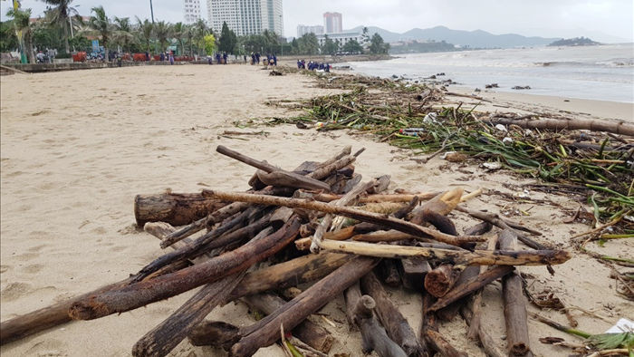 Bãi biển Nha Trang ngập ngụa rác sau mưa lũ - 2