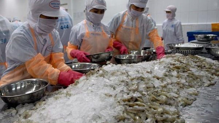 Vì sao Trung Quốc tăng cường kiểm soát hàng thủy sản đông lạnh nhập khẩu? - 1