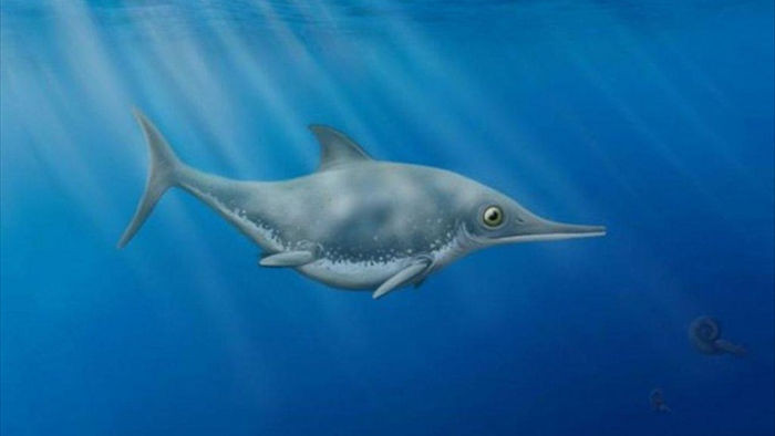 Hóa thạch rồng biển thời tiền sử được khai quật ở Anh - 1