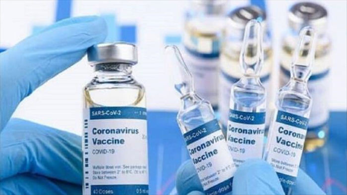 Xuất hiện nhiều biến thể COVID-19 mới khắp thế giới, vaccine có còn tác dụng? - 2