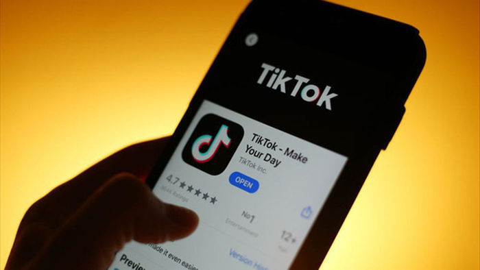  Thông tin hiếm hoi về tình hình tài chính của TikTok: Thua lỗ 119 triệu USD tại riêng 1 thị trường - Ảnh 1.