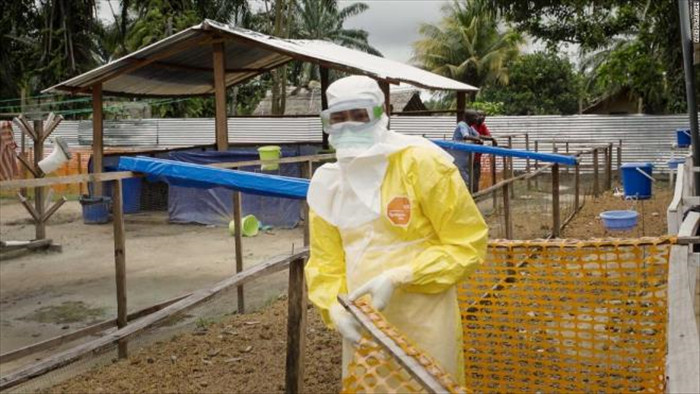 Săn lùng 'bệnh X': Nguy hiểm như Ebola, lan nhanh như COVID-19 - 1