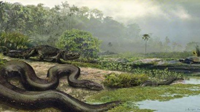Huyền thoại loài rắn quái vật từng thống trị Colombia thời tiền sử - 2
