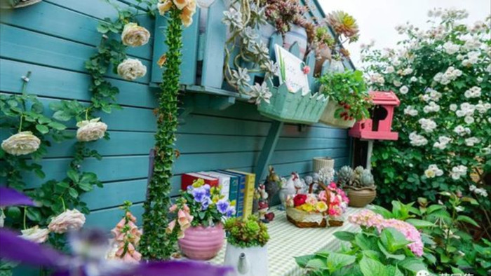 Trồng hoa trên sân thượng, cô gái tạo ra khu vườn cổ tích vạn người mê - 2
