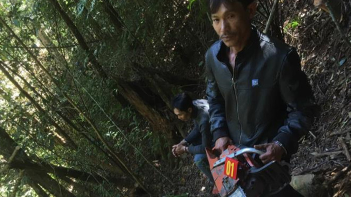 Bắt giam 3 nghi can phá rừng ở Lâm Đồng - 2