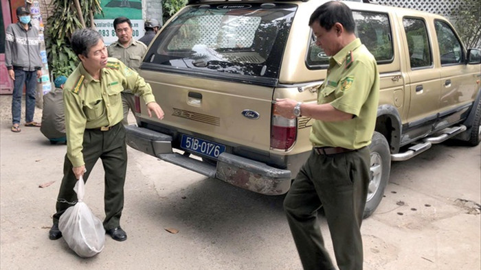 Kiểm lâm thổi ống tiêu chứa thuốc mê bắt đàn khỉ quậy phá ở Sài Gòn - 2