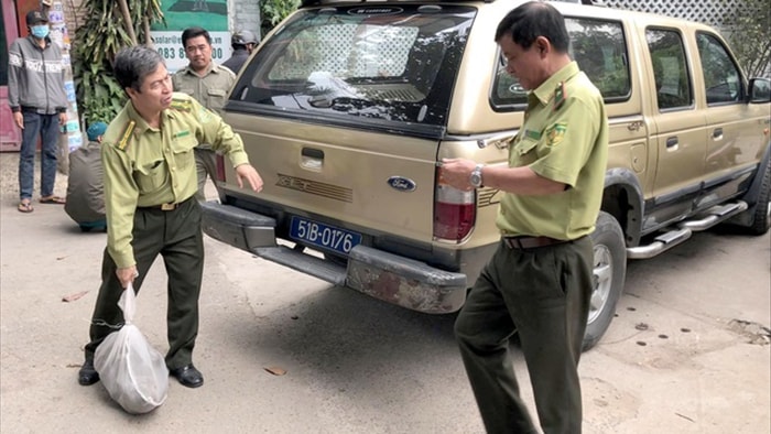 Kiểm lâm thổi ống tiêu chứa thuốc mê bắt đàn khỉ quậy phá ở Sài Gòn - 2 Kiểm lâm thổi ống tiêu chứa thuốc mê bắt đàn khỉ quậy phá ở Sài Gòn - 2
