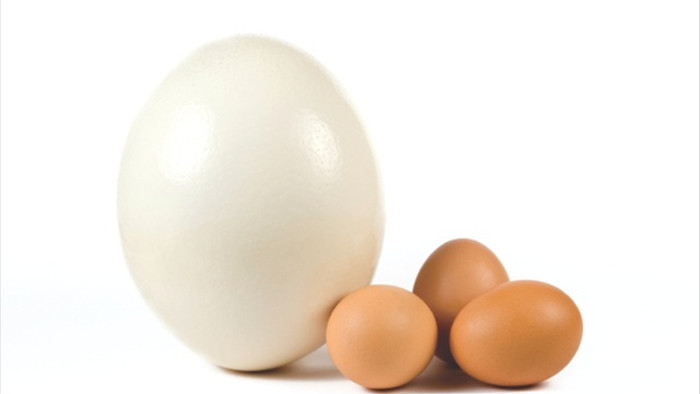 Trứng ngỗng và trứng gà, loại nào tốt hơn? - 1