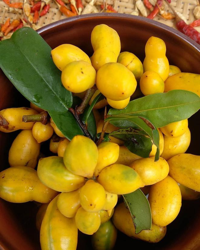 Những loại trái cây Việt Nam tên lạ hoắc, ai biết chắc đã có tuổi thơ quê nhà-5