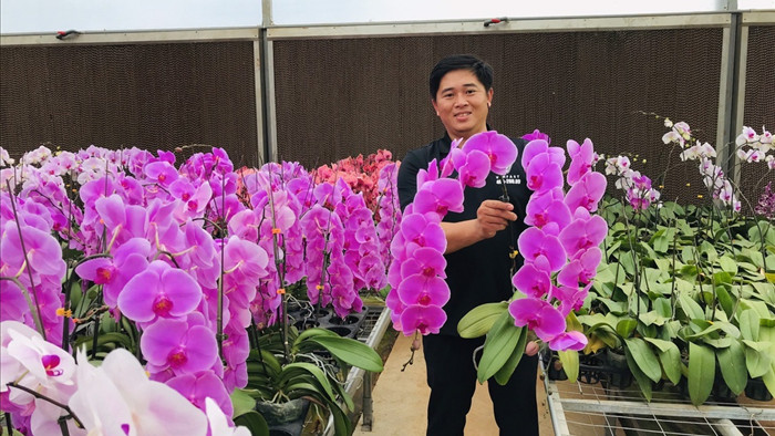 Hoa tươi Trung Quốc lấn át hoa Việt dịp cận Tết