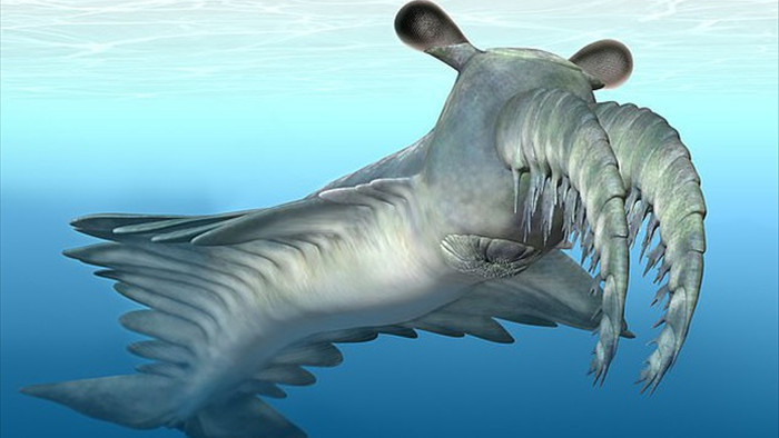 Quái vật kỳ dị cổ đại, vòi như đuôi tôm và đôi mắt nhìn thấu đại dương - 1