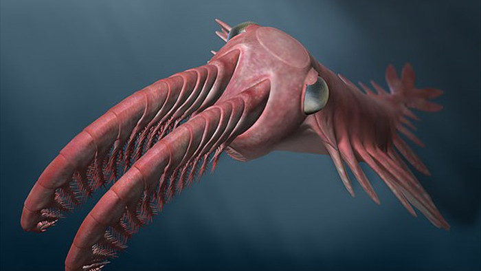 Quái vật kỳ dị cổ đại, vòi như đuôi tôm và đôi mắt nhìn thấu đại dương - 2