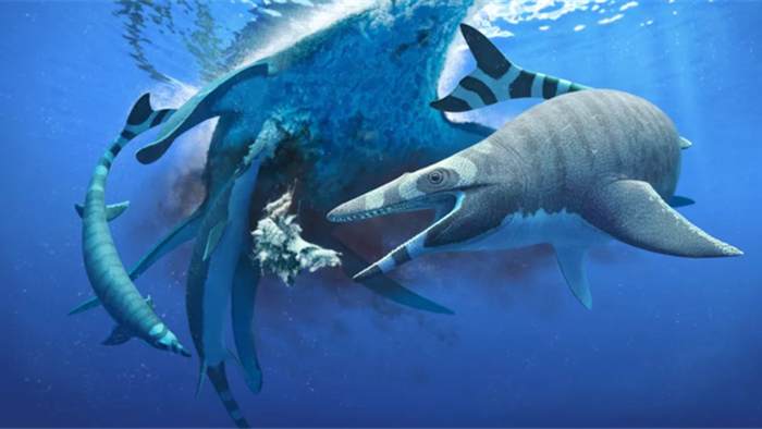 Tìm thấy hóa thạch quái vật biển kỳ lạ có hàm răng sắc như lưỡi cưa - 1