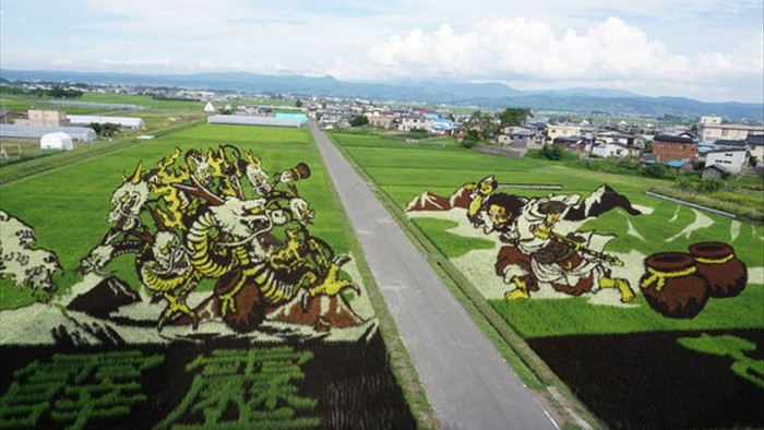 Ngôi làng tạo hình nghệ thuật cho đồng lúa công phu nhất thế giới - 1