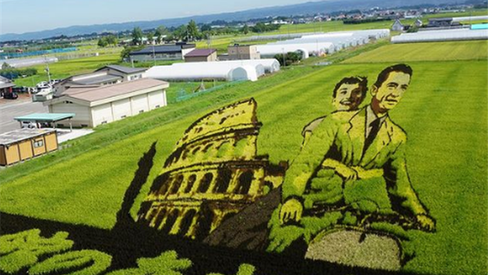 Ngôi làng tạo hình nghệ thuật cho đồng lúa công phu nhất thế giới - 2