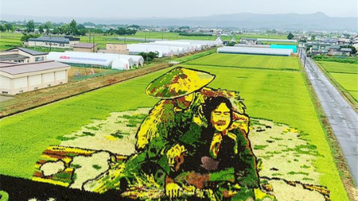 Ngôi làng tạo hình nghệ thuật cho đồng lúa công phu nhất thế giới - 6