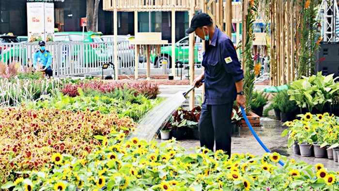 Công nhân gấp rút hoàn thiện những hạng mục cuối cùng của đường hoa Nguyễn Huệ - 11