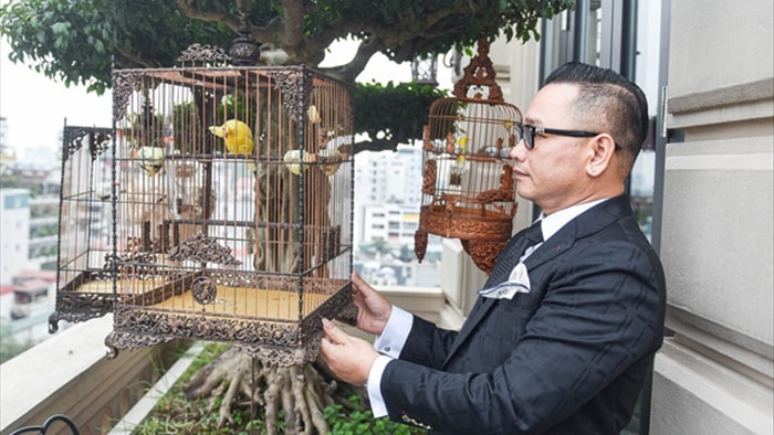 Săn lùng hoàng mào chơi Tết, đại gia thuê hẳn xe riêng đón chim quý về nhà - 2 Săn lùng hoàng mào chơi Tết, đại gia thuê hẳn xe riêng đón chim quý về nhà - 2