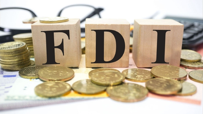 Dòng vốn FDI sẽ kích hoạt sau Tết? - 1