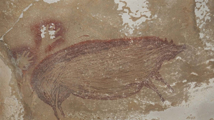 Chú lợn đầu tiên được khắc trên đá từ hơn 45.500 năm trước - 1