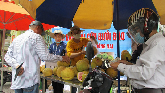 Người dân TP HCM giải cứu bưởi đào đặc sản giá 15.000 đồng/kg - Ảnh 2.