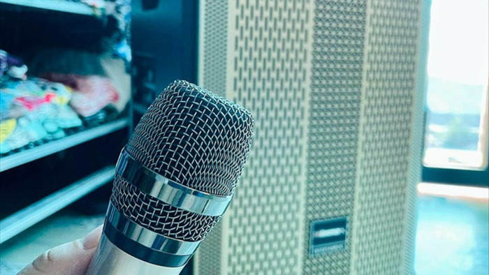 Chủ tịch TPHCM chỉ đạo khẩn trị hung thần karaoke tự phát - 2