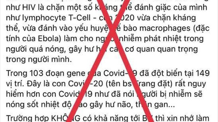 Cô gái Hà Nội bày cách tự điều trị Covid-19 khỏi trong 5 ngày - 2