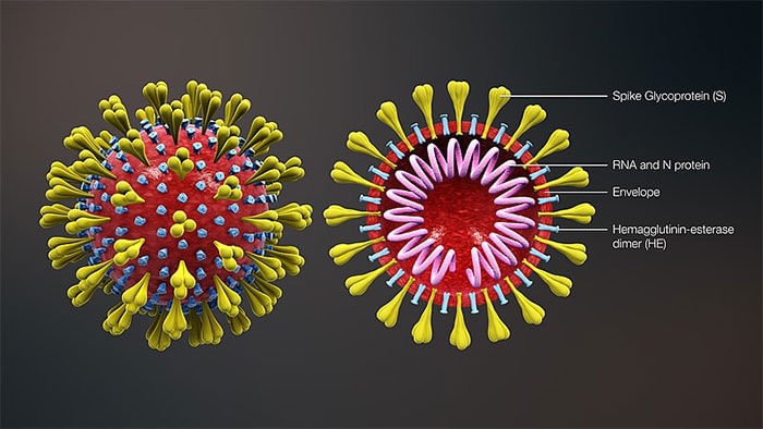 Virus Covid-19