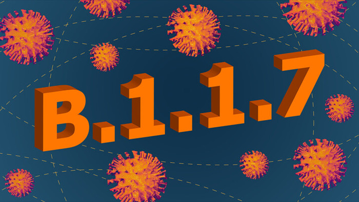 Giải mã từng chữ số trong tên biến thể virus SARS-CoV-2: B.1.1.7, B.1.351 nghĩa là gì? - Ảnh 3.