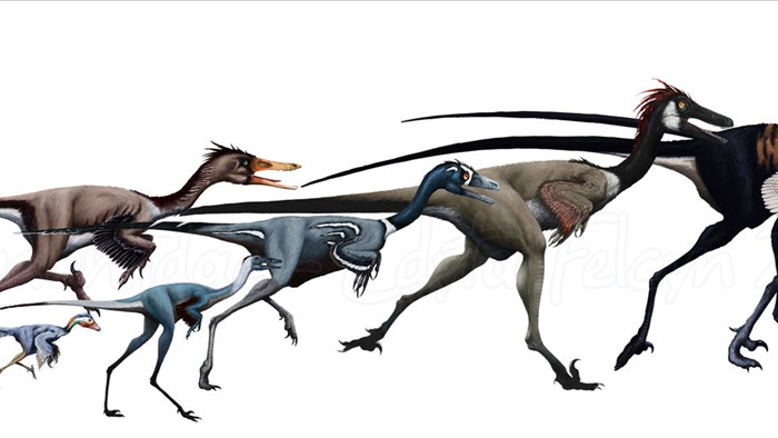 Một loài khủng long mới được phát hiện tại Tây Ban Nha có vẻ ngoài gần giống như loài chim hiện đại - Ảnh 1.