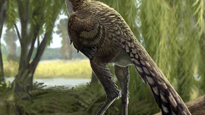 Một loài khủng long mới được phát hiện tại Tây Ban Nha có vẻ ngoài gần giống như loài chim hiện đại - Ảnh 2.