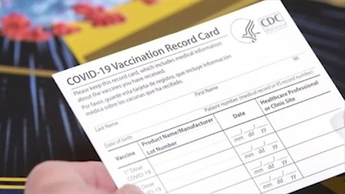 Quan chức WHO cảnh báo nguy cơ từ 'hộ chiếu vaccine điện tử'  - 1