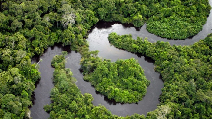 Rừng mưa Amazon đang làm khí quyển Trái Đất càng nóng lên - 2