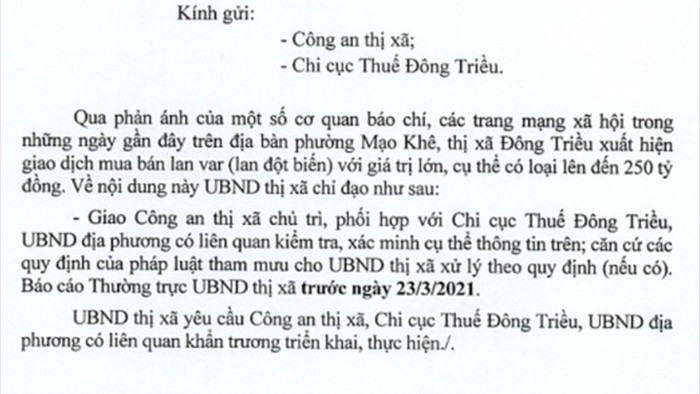 Công an vào cuộc vụ bán lan đột biến 250 tỷ đồng ở Quảng Ninh