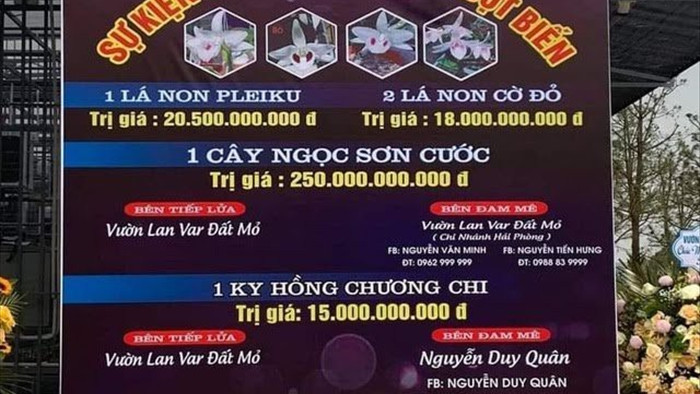 Công an vào cuộc vụ bán lan đột biến 250 tỷ đồng ở Quảng Ninh